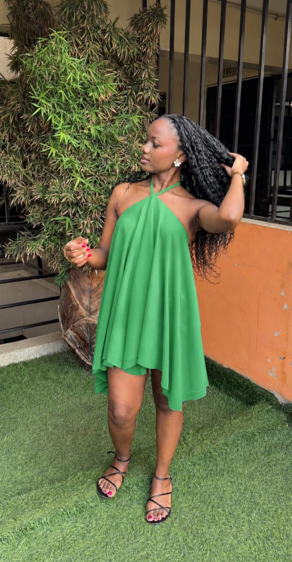 15 Dahlia Halter Mini Dress