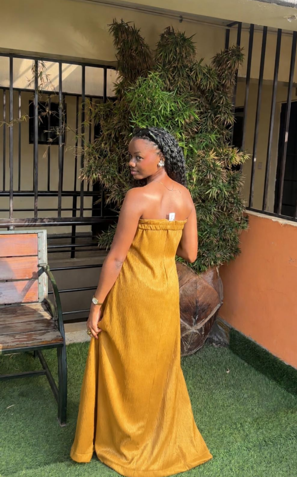 Ayla Tube Maxi Dress (has pockets)