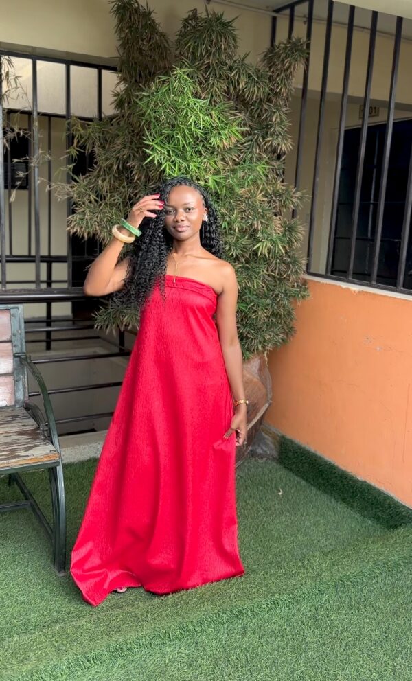 Ayla Tube Maxi Dress (has pockets)